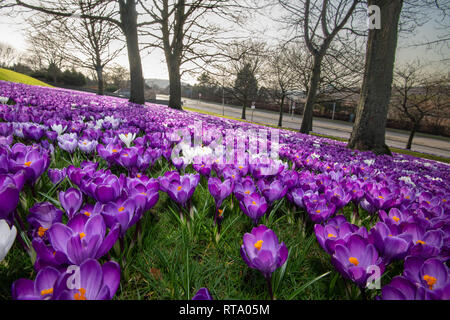 Crochi en MESSA A90 Stonehaven Road, Aberdeen Foto Stock