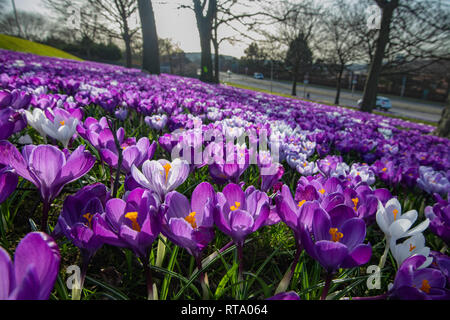 Crochi en MESSA A90 Stonehaven Road, Aberdeen Foto Stock