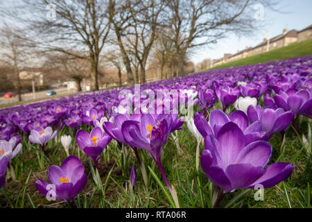 Crochi en MESSA A90 Stonehaven Road, Aberdeen Foto Stock