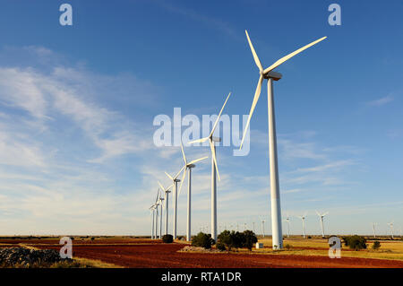 Wind Farm con diverse turbine eoliche nel campo durante una giornata di sole Foto Stock