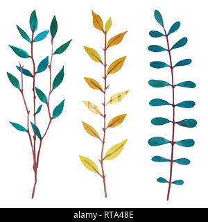 2d disegnati a mano acquerello botanico di elementi grafici. Colorate illustrazioni naturale di rami e foglie isolati su sfondo bianco. Foto Stock