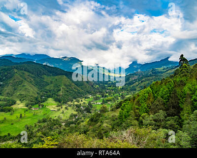 Bellissimo paesaggio panoramico della Valle Cocora nel Salento, Colombia Foto Stock