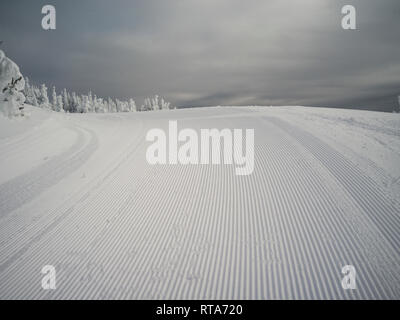 Pista di Sci picchi Sun Resort, Sun picchi, British Columbia, Canada Foto Stock