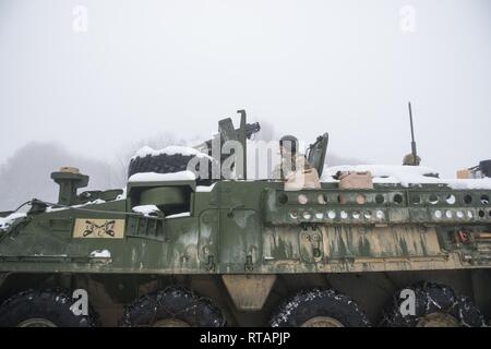 Stati Uniti Soldati assegnato al primo squadrone, secondo reggimento di cavalleria "Guerra Aquile", roll out alla gamma 35 manovra Baumholder Area Formazione, per una formazione situazionale esercizio in una Stryker fanteria veicolo portante. Baumholder, Germania il 01 febbraio, 2019 Foto Stock