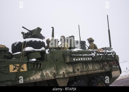 Stati Uniti Soldati assegnato al primo squadrone, secondo reggimento di cavalleria "Guerra Aquile", roll out alla gamma 35 manovra Baumholder Area Formazione, per una formazione situazionale esercizio in una Stryker fanteria veicolo portante. Baumholder, Germania il 01 febbraio, 2019 Foto Stock