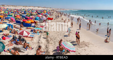 Praia da Barra, ombrelloni e frangivento Foto Stock