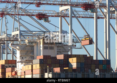 I contenitori di spedizione vengono caricate e scaricate dal MSC MARIA ELENA Nave portacontainer, ormeggiato a Southampton Container Terminal, Hampshire, Regno Unito. Foto Stock