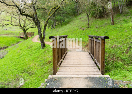 I ponti in legno sul sentiero, Coyote Valley Spazio aperto conservare, California Foto Stock