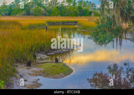 Una caletta sul fiume Tolomato, St Johns County, Florida, Stati Uniti d'America Foto Stock