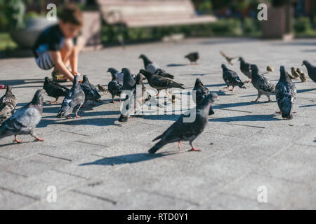 Un ragazzino squat e alimenta un gregge di piccioni con passeri su una pietra quadrata. Le luminose primavera o estate giorno. Messa a fuoco selettiva shot con Foto Stock