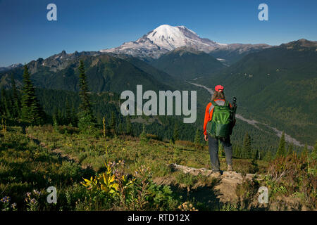 WA15817-00...WASHINGTON - escursionista sul picco di cristallo Trail nel Mount Rainier National Park. Foto Stock