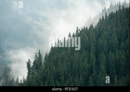 Sebes fiume sulla strada Transalpina (DN67C) nelle montagne Parang nei Carpazi Meridionali in Romania. 17 luglio 2009 © Wojciech Strozyk / Alamy Stock Photo Foto Stock