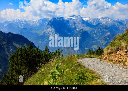 A piedi sulla cima della montagna, fiore prato e uno sguardo al lago di Lucerna, sullo sfondo le montagne della Svizzera Foto Stock