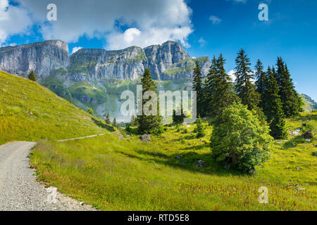 A piedi attraverso un prato per il Eggstock, alpi svizzere, Svizzera Foto Stock