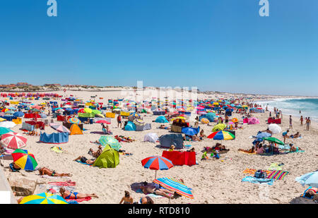 Spiaggia affollata di frangiventi e ombrelloni, Praia da Barra, Aveiro, Portogallo Foto Stock