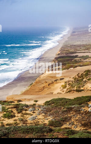 Spiaggia vista dal sentiero per il faro nel punto Reyes litorale nazionale, California Foto Stock