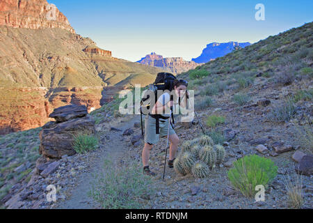 Giovane donna backpacker sull'Tonto Trail nel Parco Nazionale del Grand Canyon, Arizona. Foto Stock