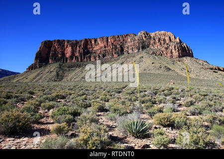 Vista del punto di Ayer dal Tonto Trail nel Parco Nazionale del Grand Canyon, Arizona. Foto Stock