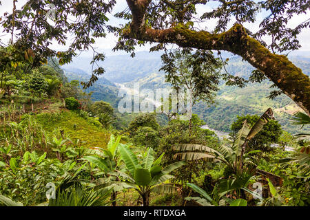 Paesaggi dei Paesi Andini Choco regione nel nord-ovest del Ecuador Foto Stock