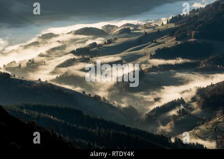 Vista da Belchen in direzione sud nella valle del Wiesental, Atmosfera mattutina con la nebbia, Foresta Nera, Baden-Württemberg, Germania Foto Stock