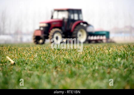 Linyi, la Cina della provincia dello Shandong. 28 Feb, 2019. Un trattore funziona in un campo nel villaggio di Qianzhao, Tancheng County, est della Cina di Provincia di Shandong, 28 febbraio, 2019. Credito: Fang Dehua/Xinhua/Alamy Live News Foto Stock