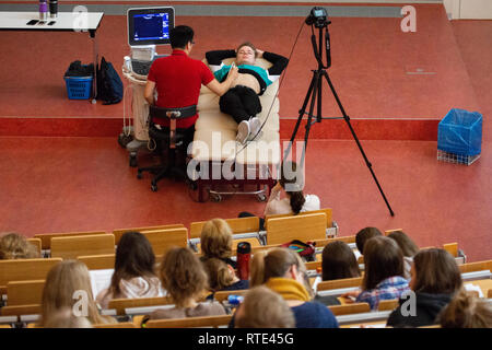 Hannover, Germania. 28 Feb, 2019. Gli studenti di medicina seguire una lezione interattiva con dispositivi ad ultrasuoni in sala F presso l'Università di Medicina di Hannover MHH. In una lezione agli studenti di imparare a utilizzare un dispositivo ad ultrasuoni e diversi approcci per la diagnosi. Credito: Raffaello Knipping/dpa/Alamy Live News Foto Stock