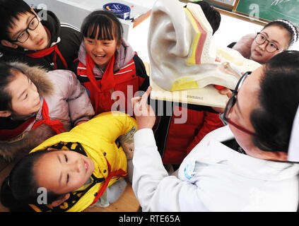 Lianyungang, cinese della provincia di Jiangsu. 1 Mar, 2019. Un medico introduce la struttura dell'orecchio per studenti a Zhongyun Centrale Scuola primaria in Lianyungang, provincia dello Jiangsu, Cina orientale della provincia di Jiangsu, 1 marzo 2019. Della Cina di orecchio nazionale cura giorno cade il 3 marzo. Credito: Geng Yuhe/Xinhua/Alamy Live News Foto Stock