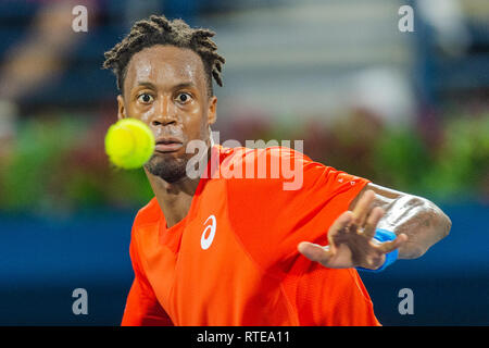 Dubai, EAU. 1 Marzo, 2019. Gael Monfils di Francia orologi la palla in semifinale partita contro Stefanos Tsitsipas della Grecia durante il Dubai Duty Free campionato di tennis presso il Dubai International Tennis Stadium, Dubai, UAE il 01 marzo 2019. Foto di concedere l'inverno. Credit: UK Sports Pics Ltd/Alamy Live News Foto Stock