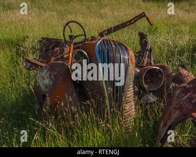 Scatafascio derelitti rusty arrugginimento auto in erba lunga, Endeans Mill, Waimiha, Ongarue, re paese, Nuova Zelanda Foto Stock