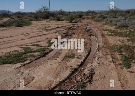 Tracce di pneumatici nella sporcizia nel deserto dell'Arizona. Foto Stock