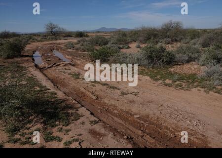 Tracce di pneumatici nella sporcizia nel deserto dell'Arizona. Foto Stock