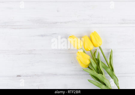 Sfondo con cinque tulipani gialli sul tavolo bianco su bianco vecchio tavolo in legno, vista dall'alto, spazio copia, evento biglietto di auguri. Foto Stock