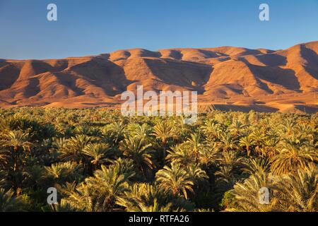 Valle di Draa, Atlante, Sud Marocco, Marocco Foto Stock