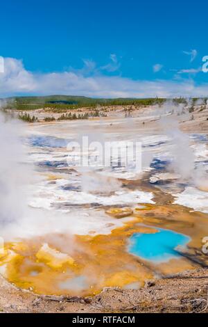 La cottura a vapore di geyser, sorgenti calde e colorate di depositi minerali nel bacino di porcellana, Noris Geyser Basin, il Parco Nazionale di Yellowstone Foto Stock