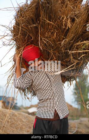 L'uomo, 20 anni, di riso con le balle di paglia sulle sue spalle, Chitwan il parco nazionale, Terai lowlands, Nepal Foto Stock