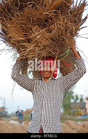 L'uomo, 20 anni, di riso con le balle di paglia sulla sua testa, Chitwan il parco nazionale, Terai lowlands, Nepal Foto Stock