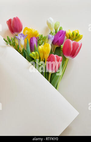 Mazzi di tulipani e fresia fiori sul libro bianco Foto Stock