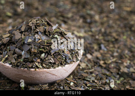 Ayahuasca Guayusa asciugi foglie di tè in cucchiaio di legno. Macro shot. Foto Stock