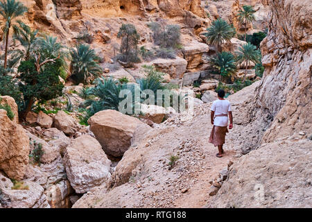 Sultanat di Oman, governatorato di cenere Sharqiyah, Wadi ash FUSC Foto Stock