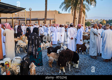 Il sultanato di Oman, Regione Ad-Dakhiliyah, Nizwa, venerdì mercato del bestiame Foto Stock