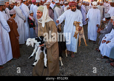 Il sultanato di Oman, Regione Ad-Dakhiliyah, Nizwa, venerdì mercato del bestiame Foto Stock