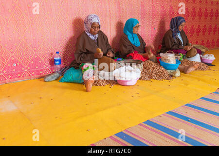 Donna che produce olio di argan, vicino a Essaouira, Marocco Foto Stock