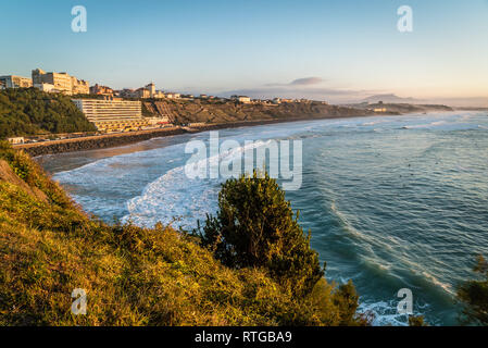 Surfisti in mare in Biarritz Côte des Basques Foto Stock