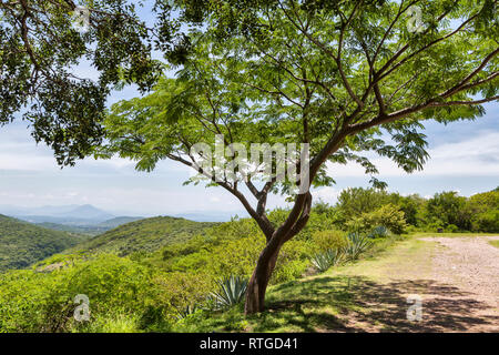 Rovine di Xochicalco, Stato di Morelos, Messico Foto Stock