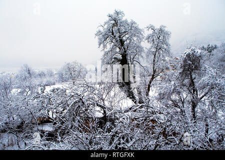 Arves Valley, vicino Thyez, Haute-Savoie, Rhone-Alpes, Francia Foto Stock