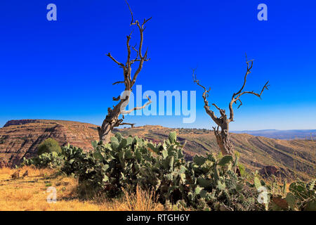 Gheralta montagne, Degum village, Tigray, Etiopia Foto Stock