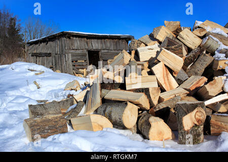 Granaio e legna da ardere, inverno, Veliky Novgorod, Novgorod, Russia Foto Stock