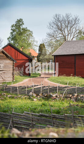 Gatto sulla strada di campagna in una vecchia casa colonica e roundpole tradizionale recinto nel villaggio rurale di Stensjo in Smaland, Svezia e Scandinavia Foto Stock