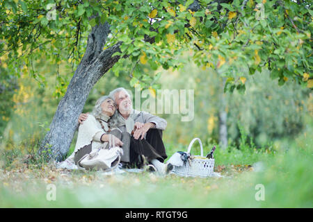 Ritratto di coppia di anziani avente un picnic nel parco Foto Stock