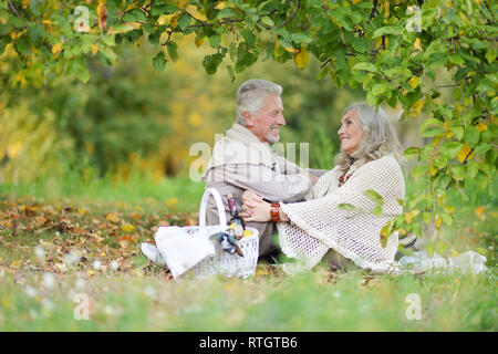 Ritratto di coppia di anziani avente un picnic nel parco Foto Stock